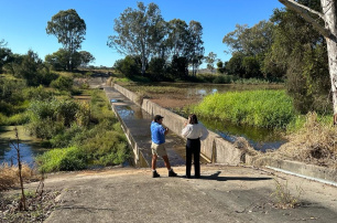 Deb questions Minister on Cressbrook Creek Weir