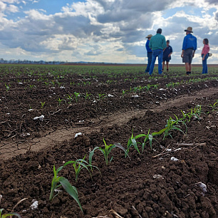 LNP water plan delivers certainty Burnett producers 